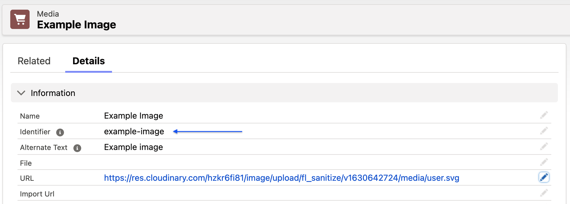 Media url field snapshot