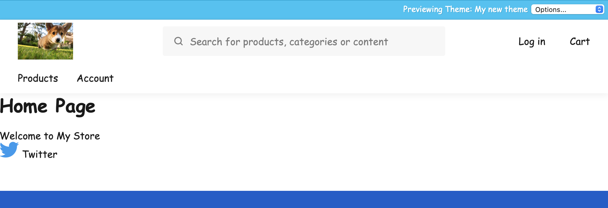 Preview css supplement asset