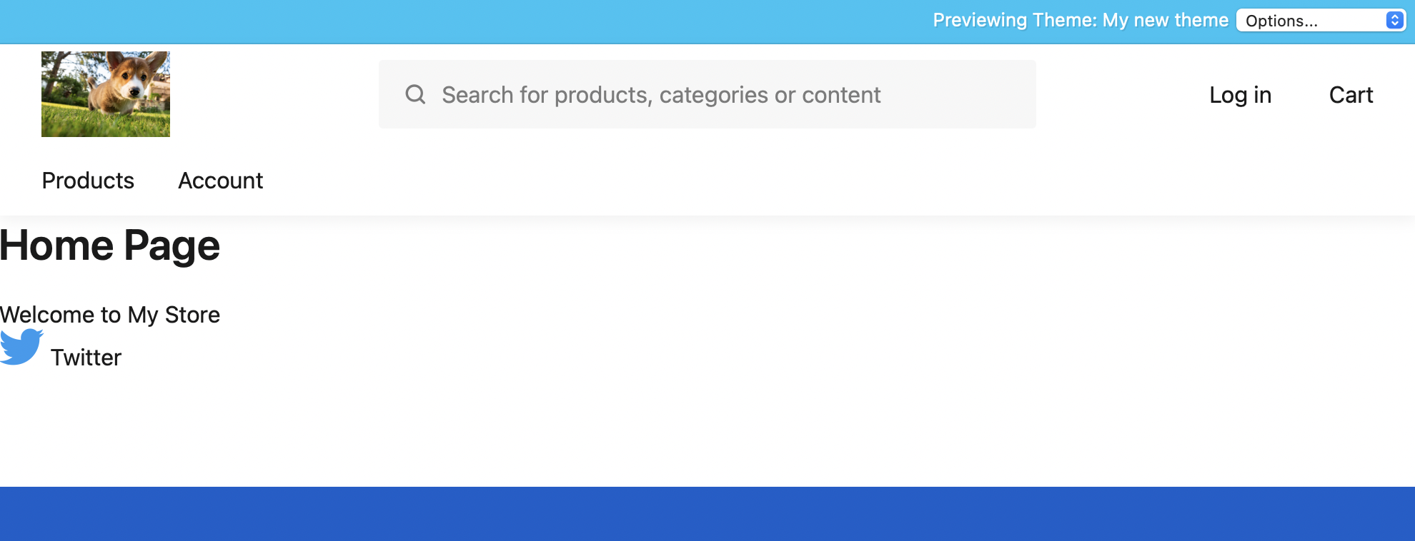 Preview home page with asset