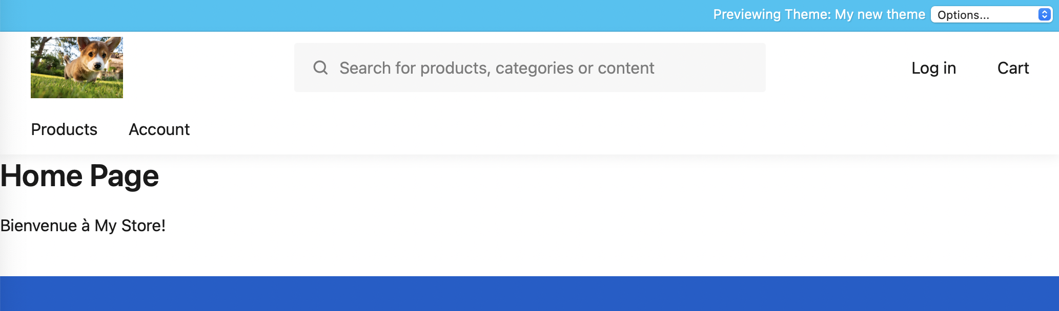 Preview home page with translation