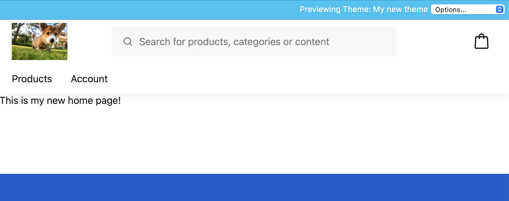 Preview theme template