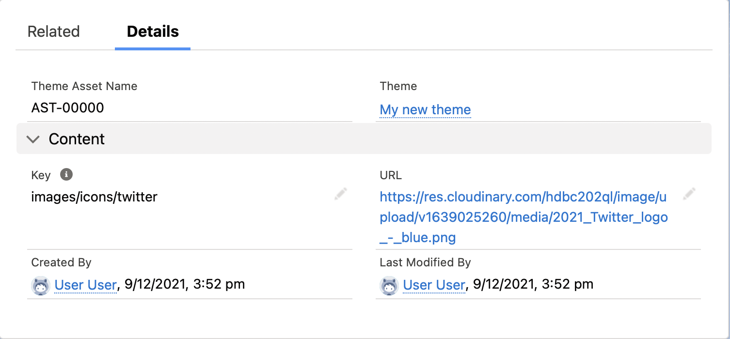 Theme asset url